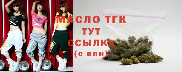 молекула духа Заводоуковск