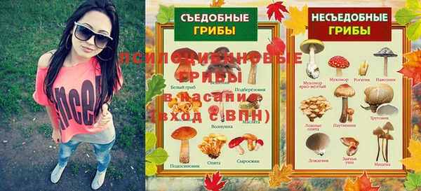молекула духа Заводоуковск