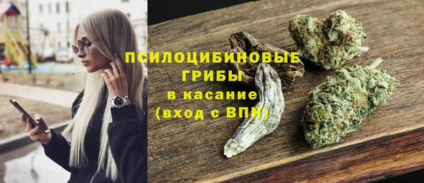 молекула духа Заводоуковск