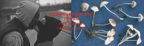 молекула духа Заводоуковск
