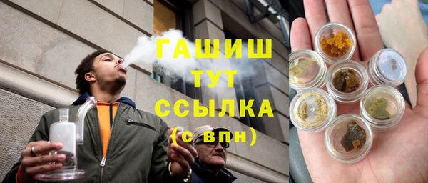шишки Елизово