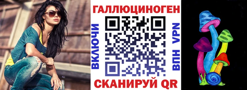 Галлюциногенные грибы Psilocybine cubensis  Копейск 